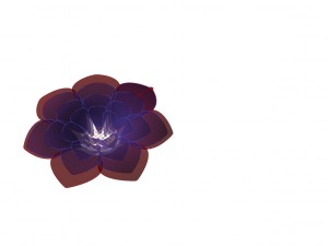 Flower Image 1